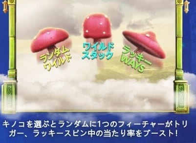 マッシュルームチョイス