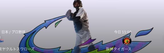テッド ベット のスポーツベット