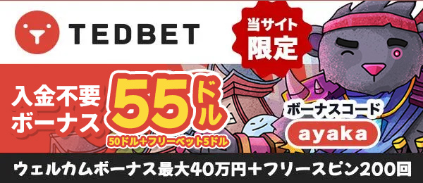 オンラインカジノテッドベットカジノ (Tedbet)