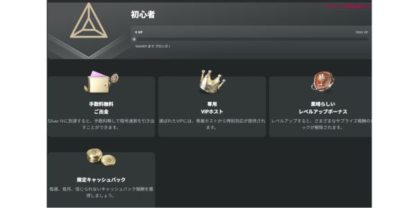 クイーンカジノ VIP