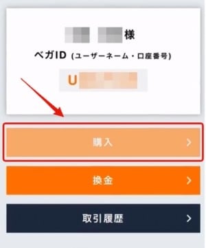 Vegawallet 購入