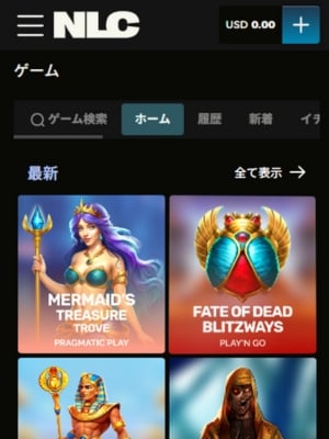 ノーリミットカジノ 入金方法