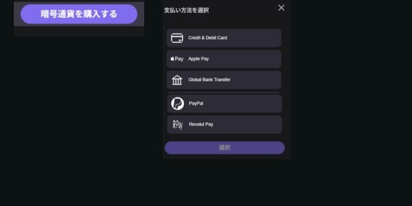 reelsカジノ 仮想通貨購入